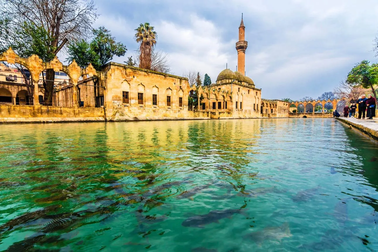 The sacred pool of Balıklıgöl full of carp beside the old mosque