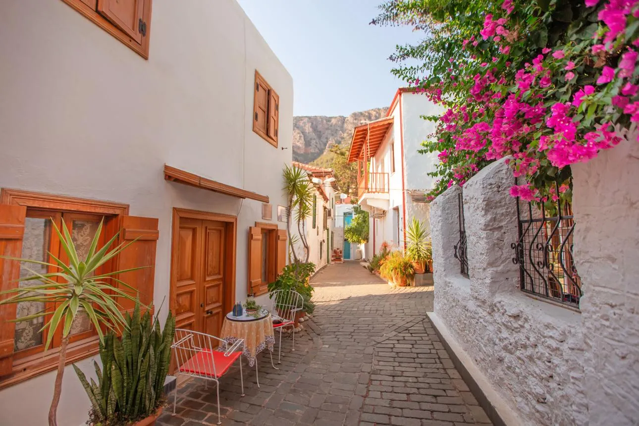 A whitewashed lane in Kaş with wooden doors, plants and bougainvillea