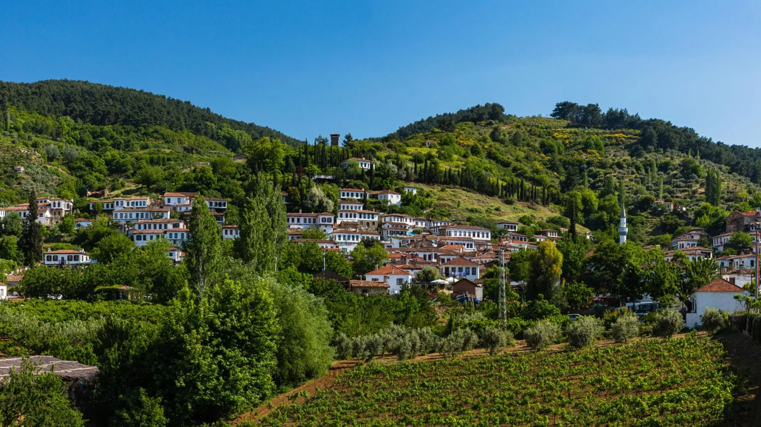 Şirince on its hillside above vineyards and olive trees