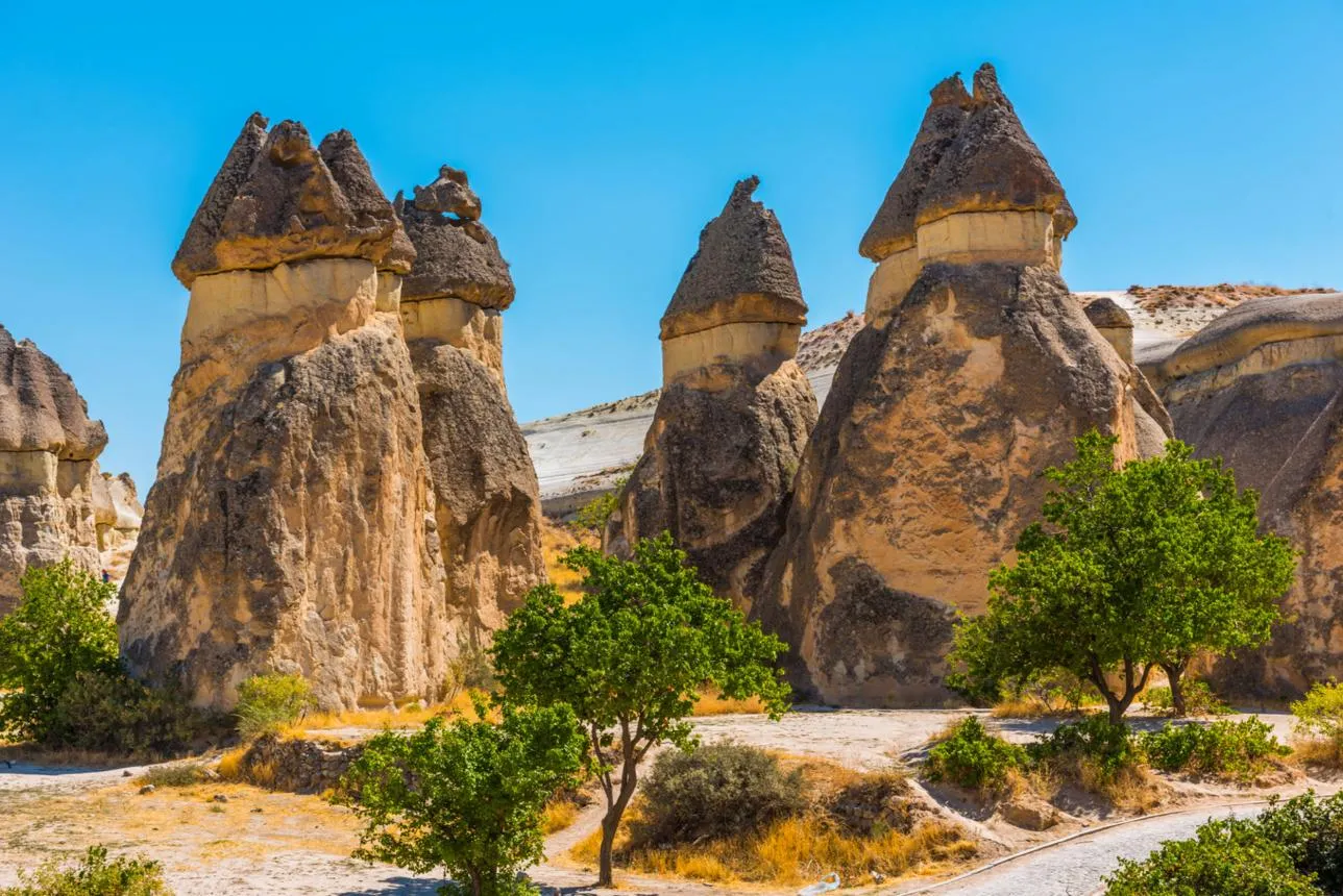 Mushroom-shaped fairy chimneys with dark stone caps in Paşabağ
