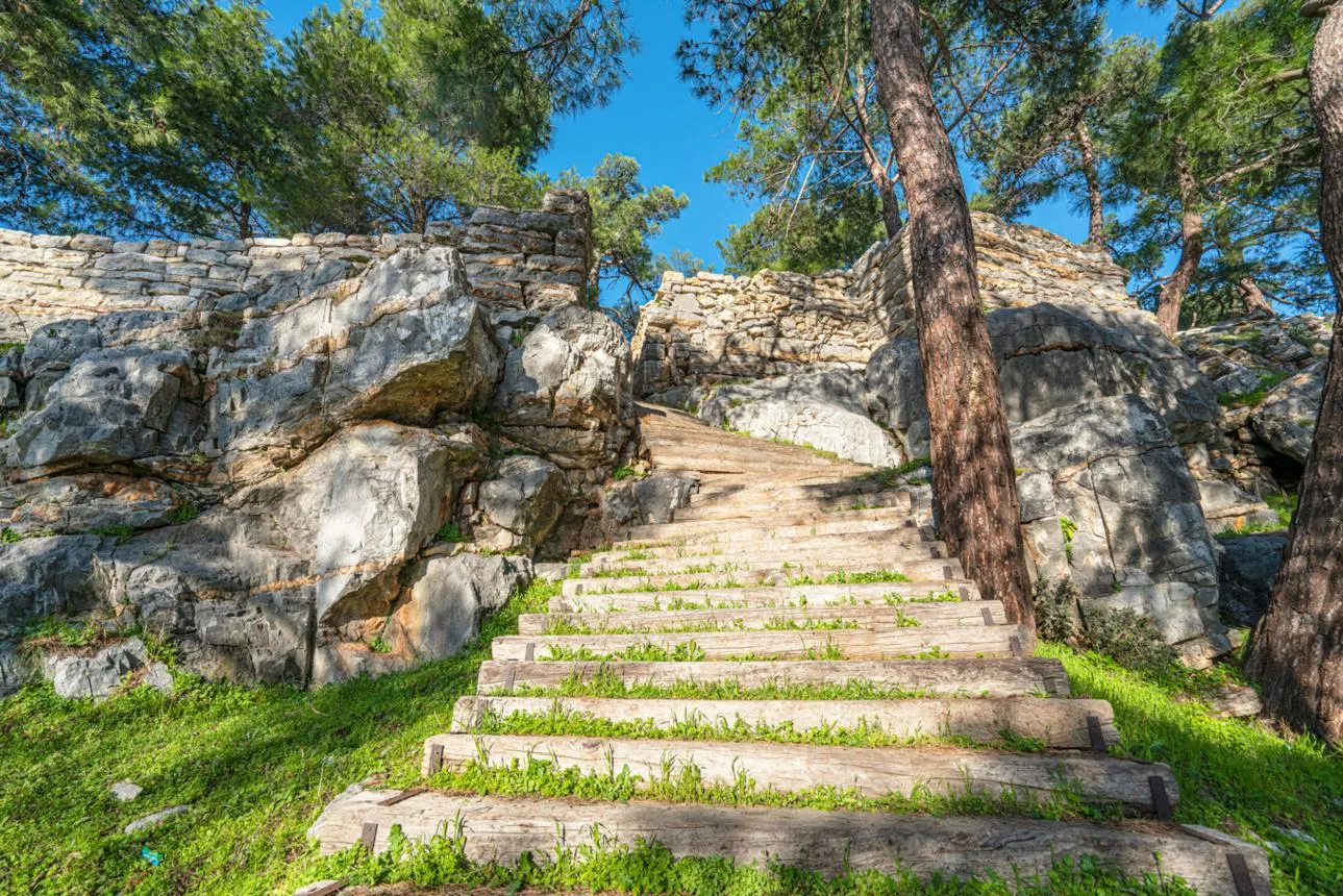 Wooden steps leading up to the stone walls of Pedasa among pine trees