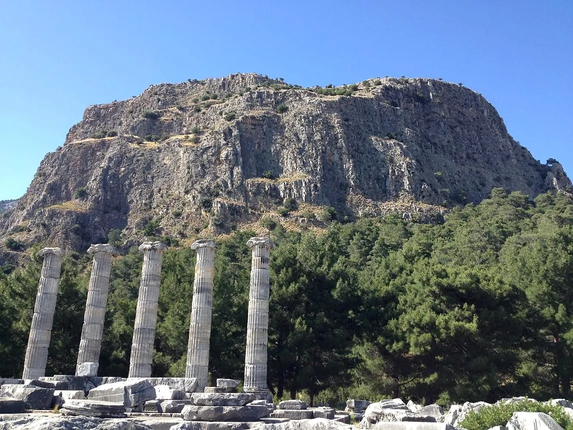 Columns of the Temple of Athena at Priene below Mount Mycale