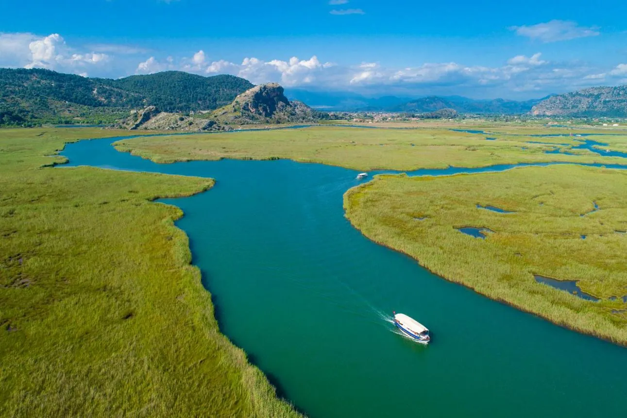 A boat travelling along a channel through the green reed beds of the delta